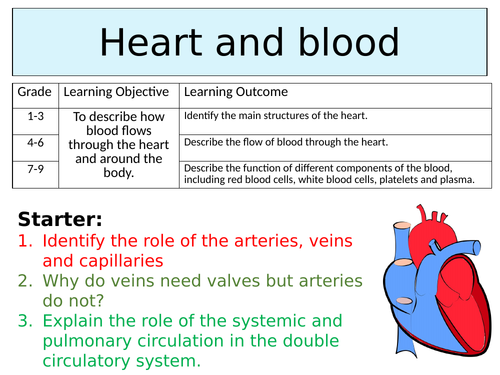 OCR GCSE (9-1) Biology - The heart and blood