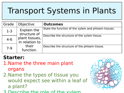 OCR GCSE (9-1) Biology - Transport systems in Plants
