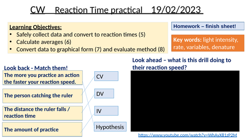 Ruler drop test practical lesson GCSE BIO