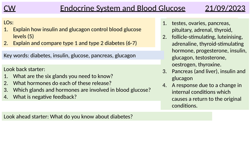 Controlling blood glucose GCSE HIGHER BIO