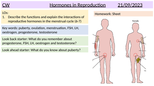 Hormones in reproduction GCSE BIO HIGHER