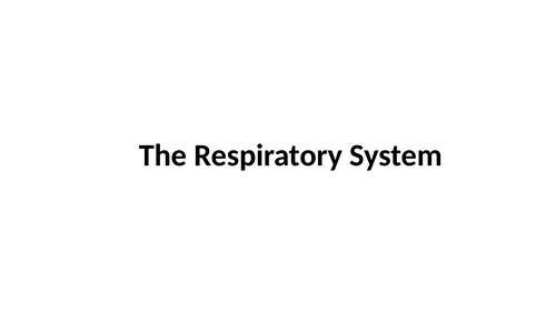 T level health/HCS respiratory system