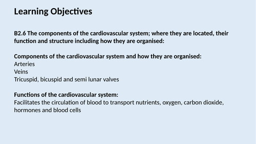 T level health/HCS circulatory system