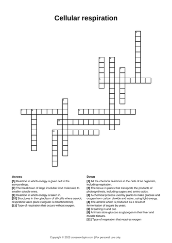 Bioenergetics crossword bundle (GCSE)