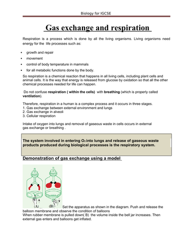 Gas exchange and respiration