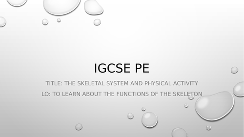 Pe - The skeletal system