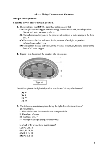 A Level Biology Photosynthesis Worksheet