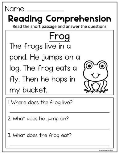 Reading Comprehension Passages and Questions | Teaching Resources