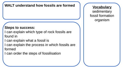 Fossils