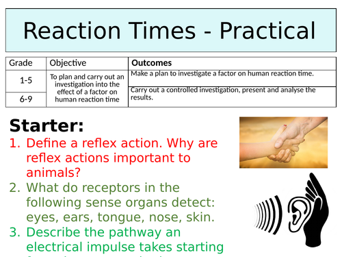 OCR GCSE (9-1) Biology - Reaction Times Investigation