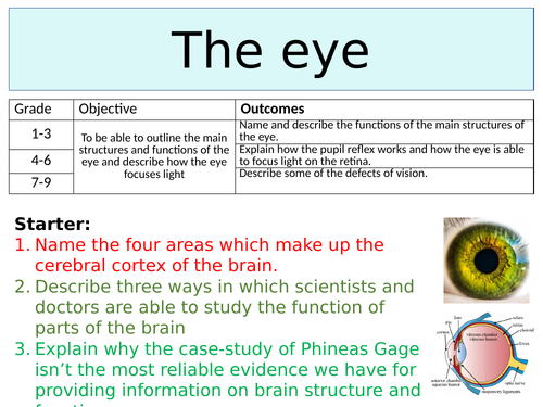 OCR GCSE (9-1) Biology - The Eye