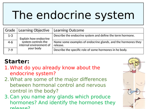 OCR GCSE (9-1) Biology - The endocrine system