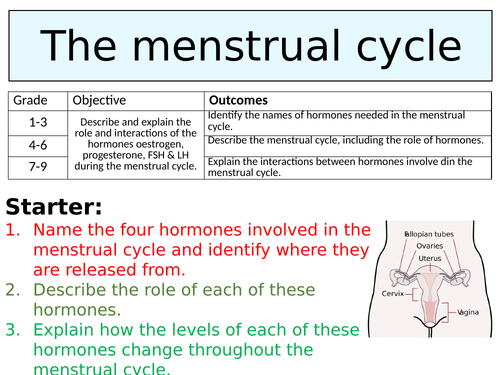 OCR GCSE (9-1) Biology - The menstrual cycle