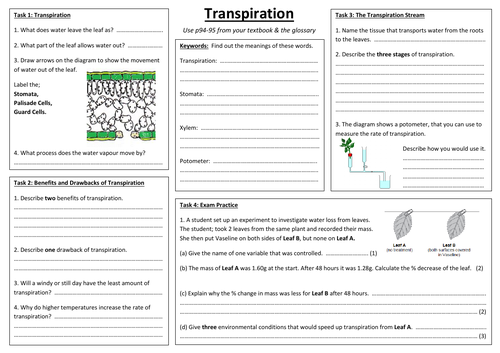 CB6d - Transpiration A3 sheet (Edexcel Combined Biology GCSE)