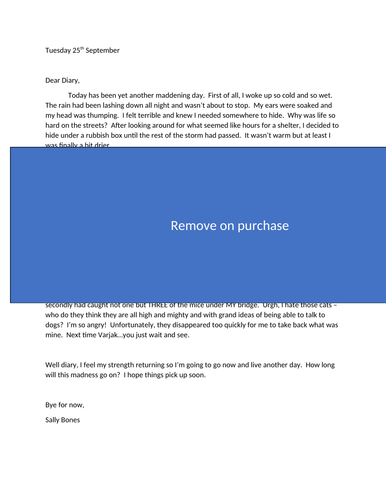 Varjak Paw diary entry complete lesson