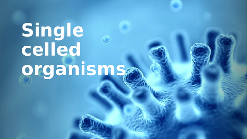 IGCSE Edexcel Biology Prokaryote cells