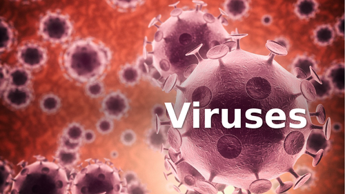 IGCSE Edexcel Biology Viruses