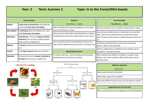 Knowledge Organiser Minibeasts