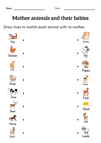 1st grade animal and babies worksheet - matching mother and baby animal activity