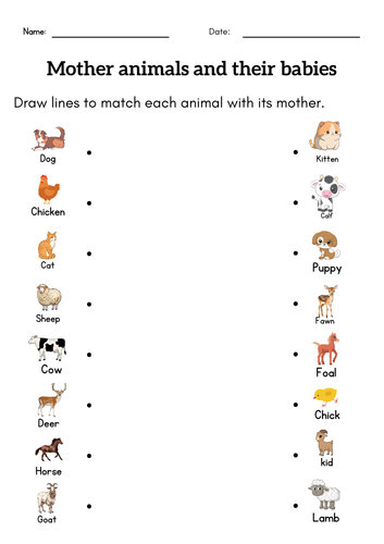 1st grade animal and babies worksheet - matching mother and baby animal ...