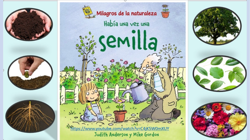 Spanish Unit of work Plantas La Semilla story instructions text