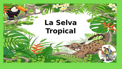 Spanish Rainforest project - La Selva tropical KS2