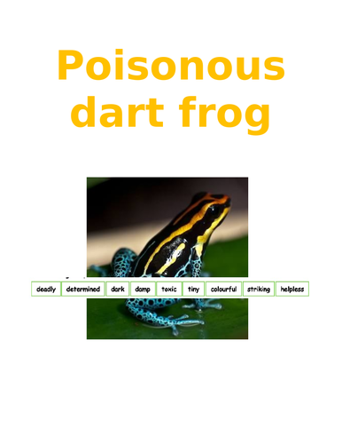 Adjective SPAG lesson - Poisonous dart frog