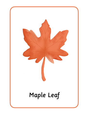 Illustrated British Leaf A4 Posters with names