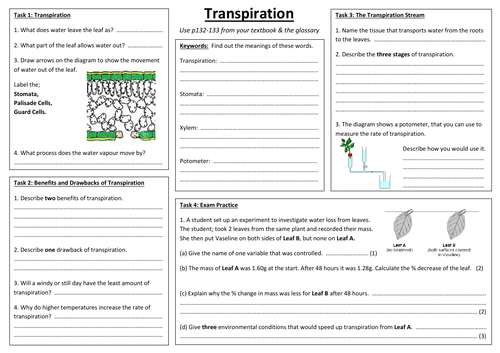 SB6d - Transpiration A3 sheet (Edexcel Single Biology GCSE) | Teaching