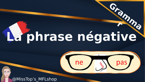 French Grammar - Negative sentence / la négation