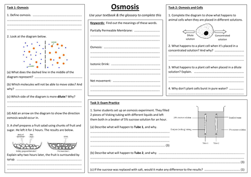 SB1i - Osmosis A3 sheet (Edexcel Single Biology GCSE)