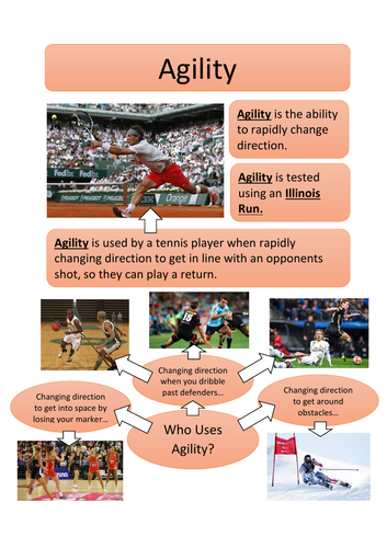 Components of Fitness Poster/Fact Sheets