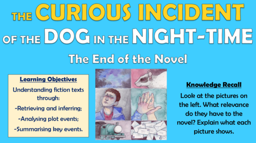 The Curious Incident of the Dog in the Night-time - The End of the Novel!