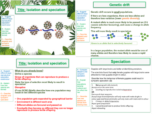 Isolation and speciation - AQA A Level Biology (A2) -18. Populations and Evolution