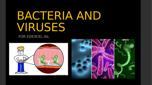 BACTERIA AND VIRUSES FOR EDEXCEL A LEVEL