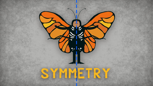 Symmetry Powerpoint Presentation (PPT)/Lesson/Slides