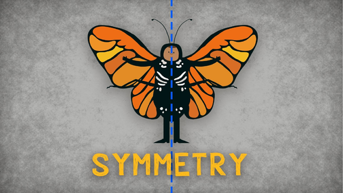 Symmetry Powerpoint