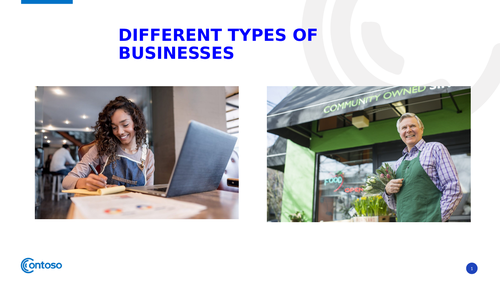 Lesson 2 'Different Types of Businesses'