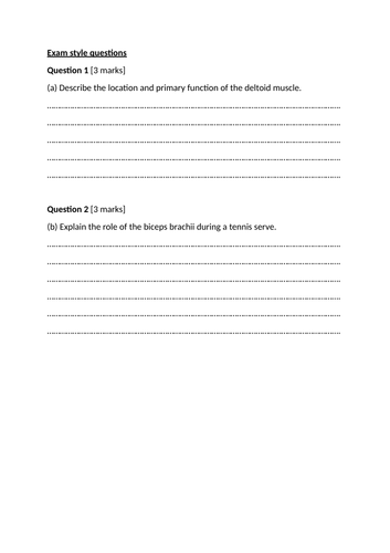 Muscular system exam style questions