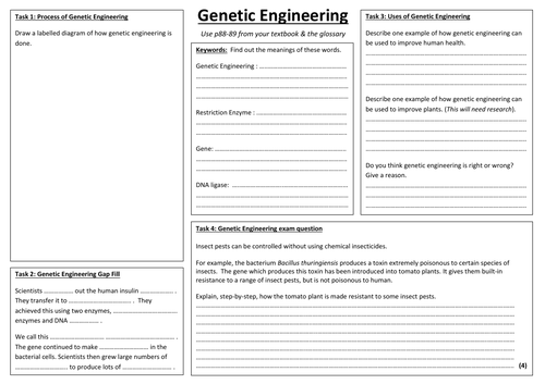 SB4g - Genetic Engineering A3 sheet (Edexcel Single Biology GCSE)