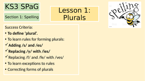 Key Stage 3 SPaG Plurals Lesson 1
