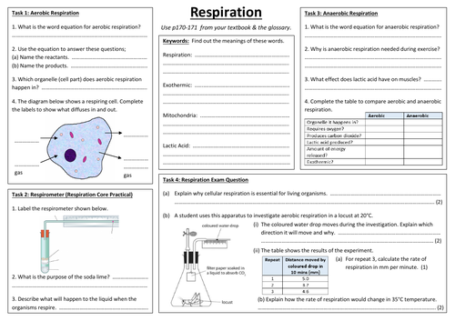 SB8e - Respiration A3 sheet (Edexcel Single Biology GCSE)