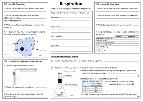 SB8e - Respiration A3 sheet (Edexcel Single Biology GCSE) | Teaching