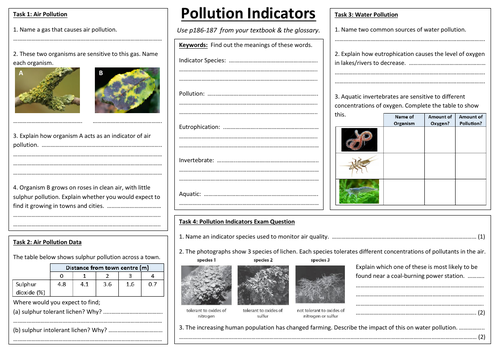 SB9e - Pollution & Indicator Species A3 sheet (Edexcel Single Biology GCSE)