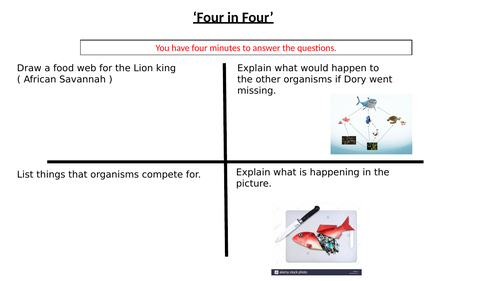 KS3 - Transfers in food chains lesson