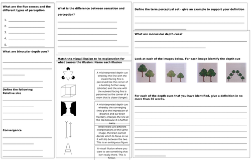 AQA GCSE PSYCHOLOGY (9-1) PERCEPTION REVISION MAT