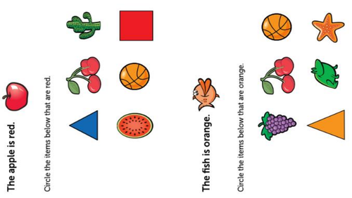 SEND colour and shape worksheets