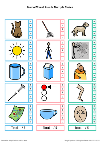 SEND Literacy- Medial Sounds Odd One Out Worksheets