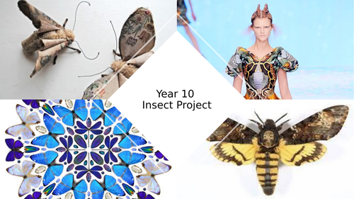 GCSE textiles- insects SOL