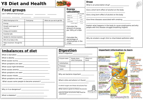 Diet and digestion revision with answers